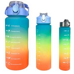 Botellas motivacionales x 3